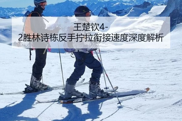 王楚钦4-2胜林诗栋反手拧拉衔接速度深度解析